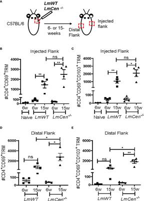 Leishmania Major Centrin Gene-Deleted Parasites Generate Skin Resident Memory T-Cell Immune Response Analogous to Leishmanization